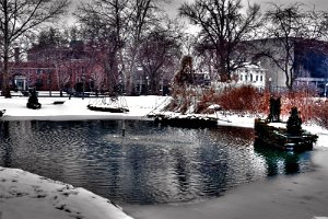 Around the Lake